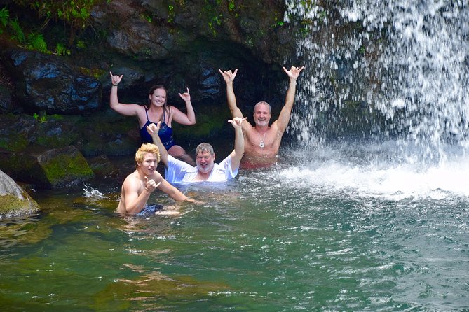 Private Road to Hana Tour - Road to Hana Feels Less Intense With a Pro Driver in Charge