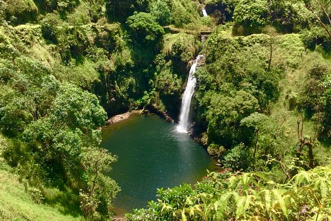Private Road to Hana Tour - Stop-By-Stop: Bamboo Forest, Hana Snacks, Black Sand, and Red Sand