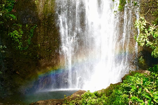 Private Road to Hana Tour - Customization Is Not Just a Buzzword Here, It Changes the Day
