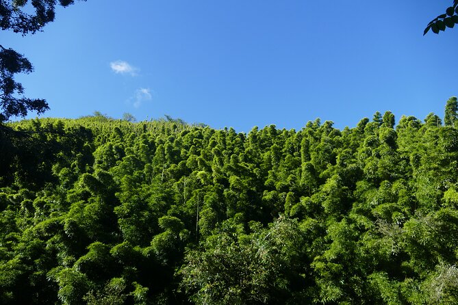 PRIVATE Road to Hana Tour - Hana town lunch time: how to use the 45 minutes in a smart way