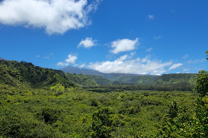 Private Road to Hana Tour with Pickup - Wailua Valley State Wayside Park: count waterfalls, then zoom out
