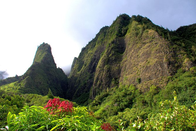 Private Shore Excursion: Best Highlights of Maui - A Half-Day That Feels Like a Maui Best-Of, Without the Sprint