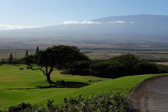 Private Shore Excursion: Best Highlights of Maui - How Much Is $699 Worth for a Private Group?
