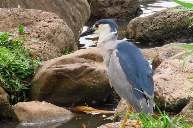 Private Shore Excursion: Best Highlights of Maui - Timing Tips That Make a Short Tour Feel Longer