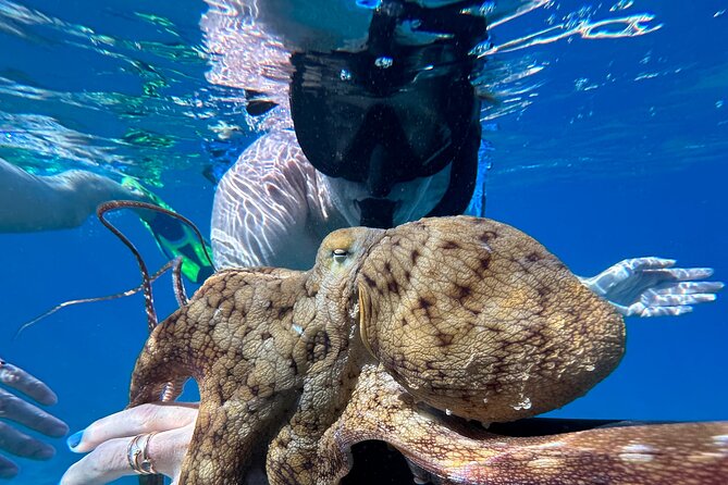 Private Snorkel Photos Included - Key Highlights You’ll Feel Immediately