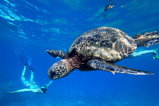 Private Snorkel Photos Included - Where This Maui Snorkel Starts (and Why It Matters)