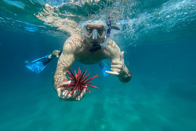 Private Snorkel Photos Included - The 2.5 Hour Flow: Beach Setup, Snorkel Time, and Photo Moments