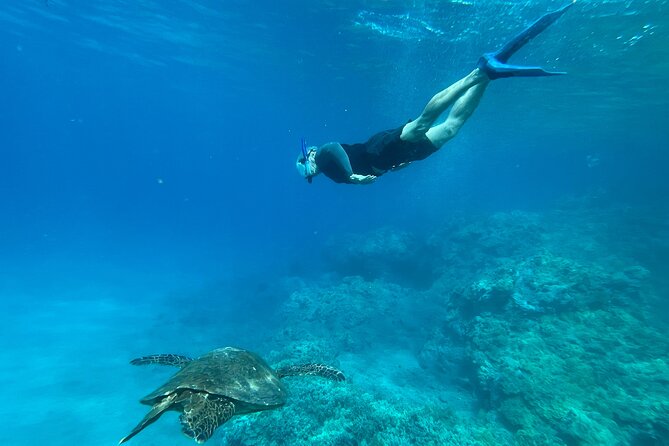 Private Snorkel Photos Included - Private Guidance That Works for First-Timers and Nervous Swimmers