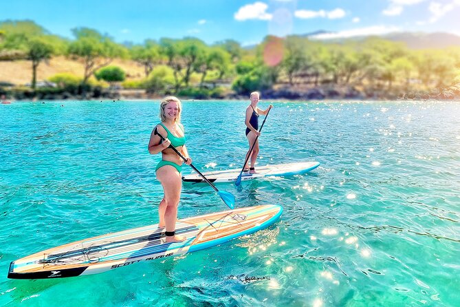 Private Stand Up Paddle Boarding Tour in Turtle Town, Maui - The Wildlife Part: Sea Turtles, Coral, and Rare Monk Seals