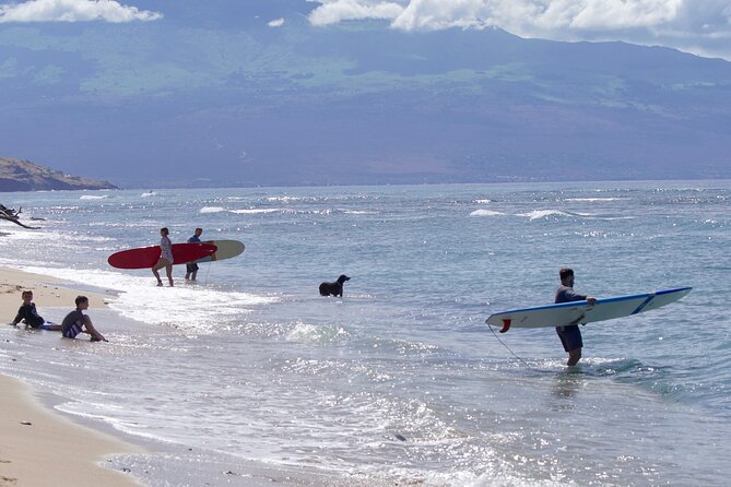 Private Surf Lesson for One Near Lahaina - Price and Value: Is $228.11 Worth It for One Person?