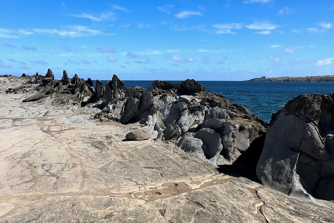 Private West Maui Coastline Open-Air Jeep Tour - Nakalele Blowhole: A Quick Photo Stop With Big Energy
