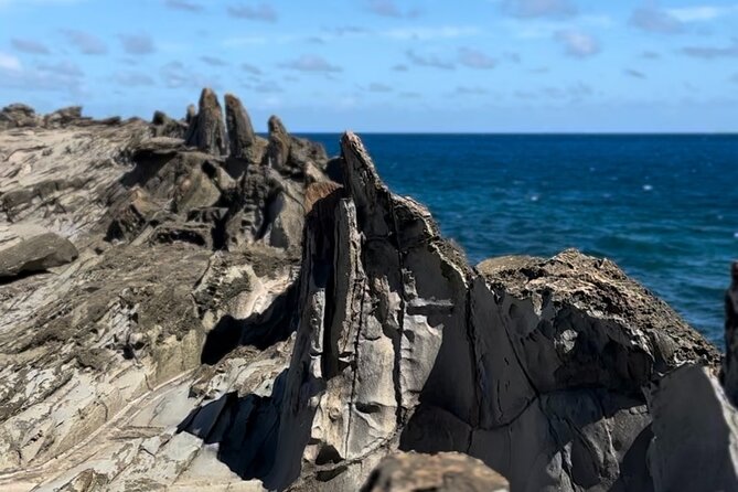 Private West Maui Coastline Open-Air Jeep Tour - Honolua Bay: The Calm Reset Between Sea Sights