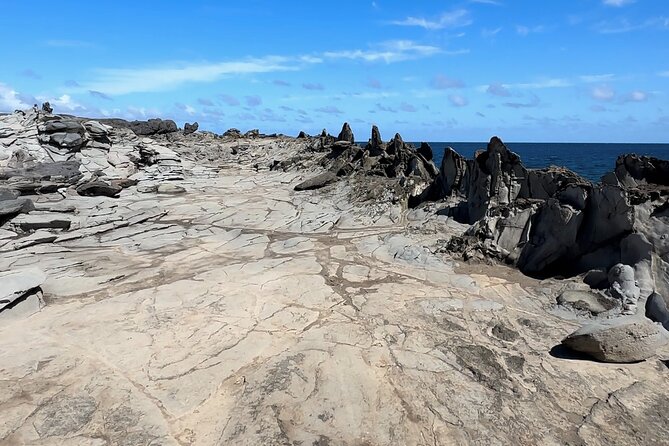 Private West Maui Coastline Open-Air Jeep Tour - Pickup, Open-Air Comfort, and Tips for a Smooth Ride