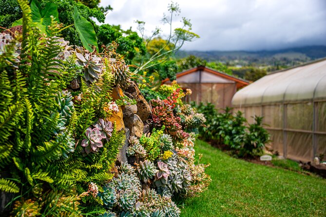Pueo Farm Tour (1.5 hr) Upcountry Kula Maui Hawaii - Panoramic Views: Haleakala, Both Coasts, Lanai, and Molokini