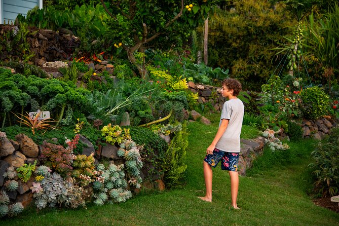 Pueo Farm Tour (1.5 hr) Upcountry Kula Maui Hawaii - The Farm Walk in Kula: Flowers, Vegetables, and Regenerative Farming