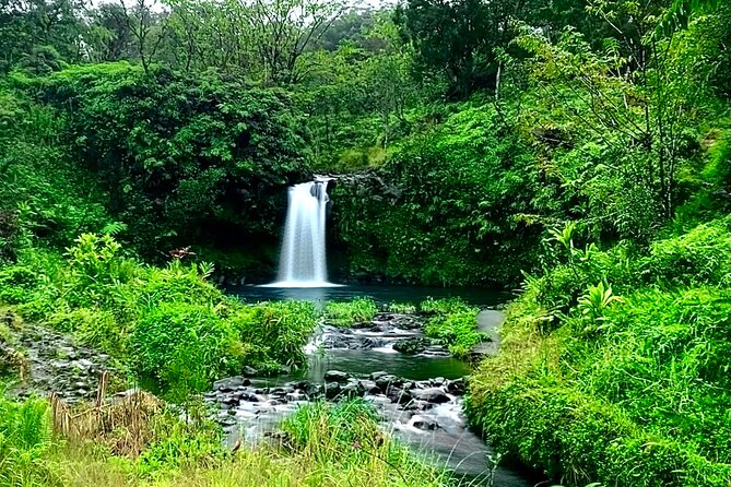 Rainforest Tour to Hana and Beyond - Comfort on a Tight Road: Private Transportation and Group Size