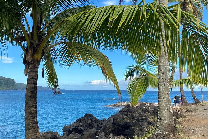 Rainforest Tour to Hana and Beyond - The Halfway to Hāna Fruit Stand Break You’ll Actually Remember