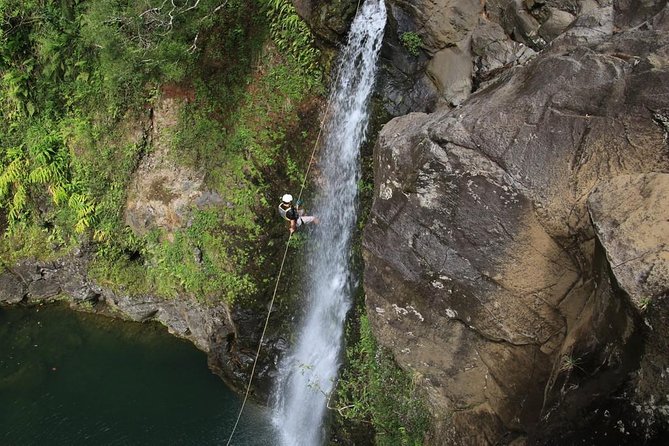 Rappel Maui Waterfalls and Rainforest Cliffs - Starting near the Road to Hana: timing, mood, and weather reality