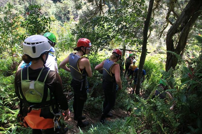 Rappel Maui Waterfalls and Rainforest Cliffs - The swim break in waterfall pools: why it’s more than a reward