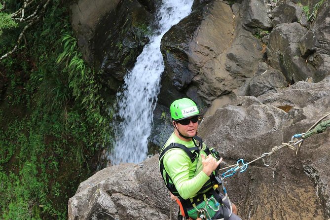 Rappel Maui Waterfalls and Rainforest Cliffs - Garden of Eden Arboretum: why there’s more than one stop before you rappel