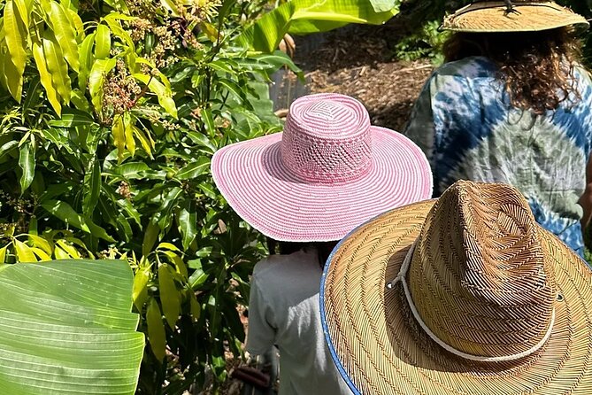 Regenerative Mango and Tropical Fruit Tour in West Maui - Key Highlights You’ll Actually Care About