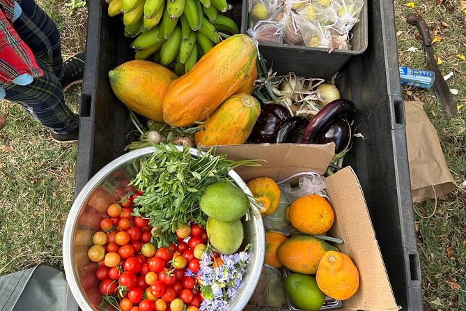 Regenerative Mango and Tropical Fruit Tour in West Maui - Your 2-Hour Plan, From Passionfruit Shade to Sunset Photos
