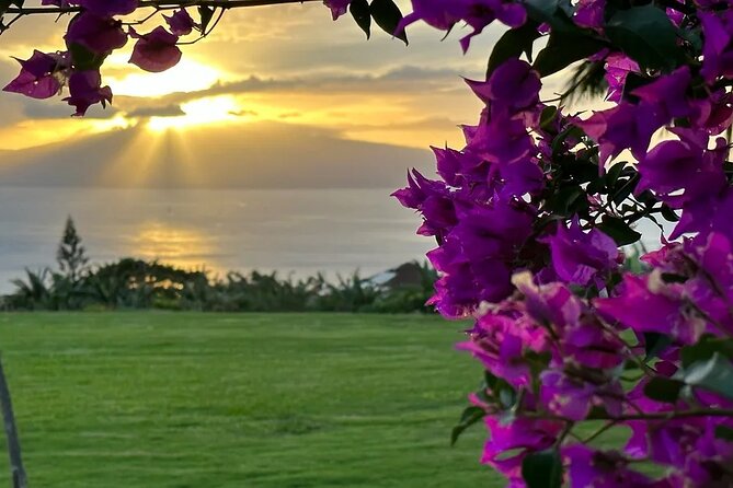 Regenerative Mango and Tropical Fruit Tour in West Maui - What You’ll Taste: Mango and Tropical Fruit Along the Walk