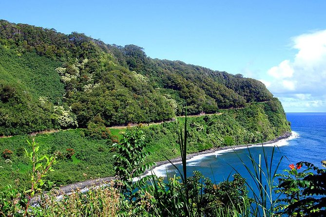 Road to Hana Adventure Maui Tour with Lunch - The Role of Your Guide, and Why Names Like Sale Keep Coming Up