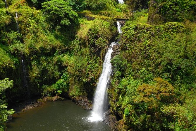 Road To Hana Black Sand Beach Waterfalls & Turtles Tour - Why a guided van beats white-knuckle driving on the Road to Hāna