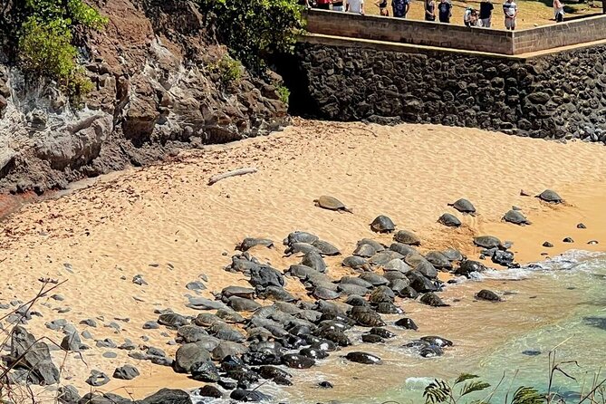 Road To Hana Black Sand Beach Waterfalls & Turtles Tour - Pua’a Ka’a State Park: a calm reset with clear water and photo time