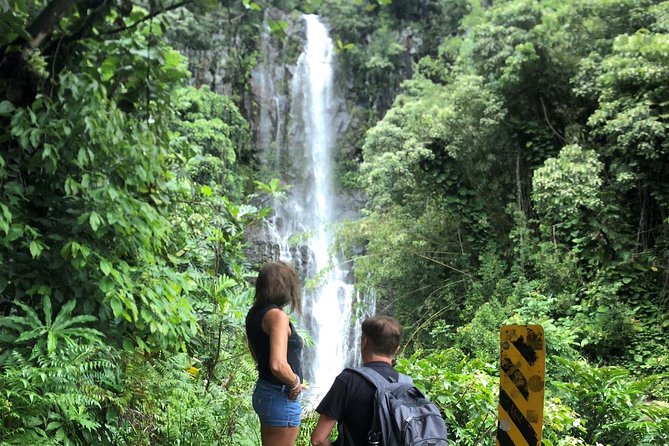 Road to Hana: Full-Day Scenic Drive with Blacksand & Waterfalls - From Hana Highway curves to Hookipa turtles