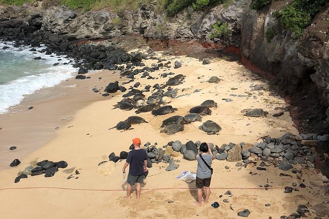 Road to Hana: Full-Day Scenic Drive with Blacksand & Waterfalls - Keanae Point, Halfway snacks, and the bamboo road