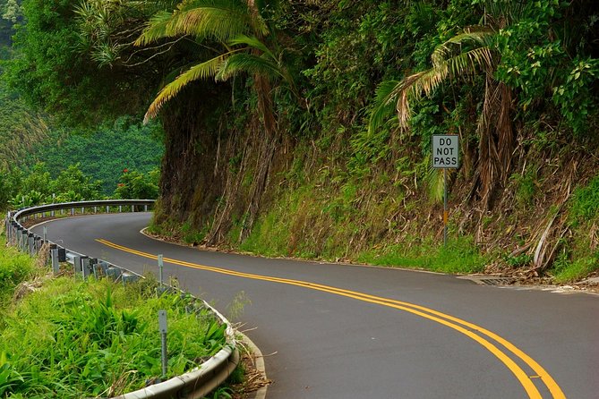 Road to Hana: Full-Day Scenic Drive with Blacksand & Waterfalls - Hana Farms, Aunty Sandy’s banana bread, and the last photo stops