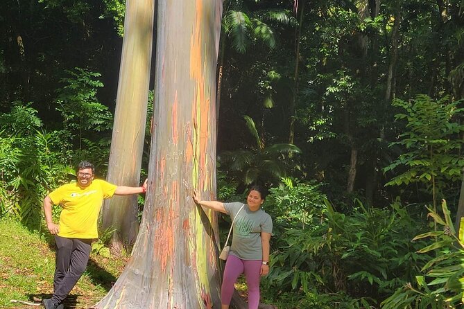Road to Hana Full Day Tour with A Guide - What the included snacks and the guide help you do