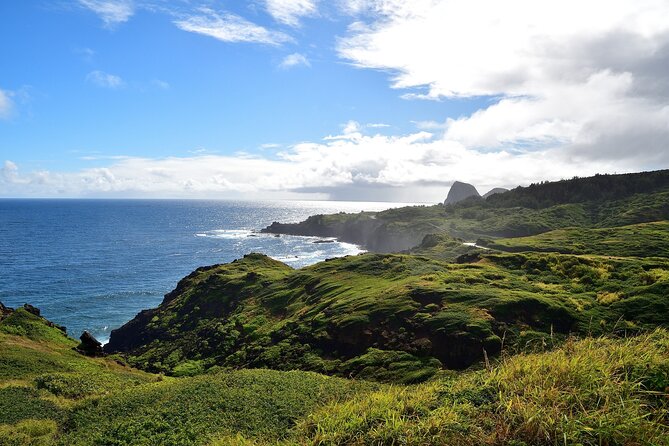 Road to Hana Full Day Tour with A Guide - Who should book this Road to Hana full day