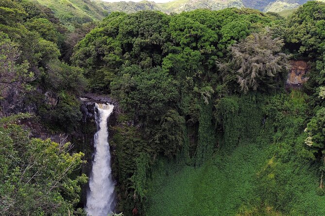 Road to Hana Full Day Tour with A Guide - Should you book it or pass?