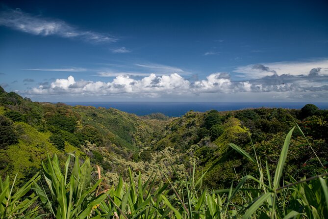 Road to Hana Halfway and Haleakala National Park - Haleakala Observatory at 10,000 Feet: Science With a View
