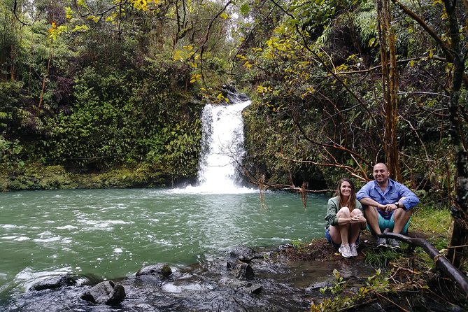 Road To Hana: Maui Waterfall Hiking Tour in Private Jeep - Waterfall pools and the wet-foot reality