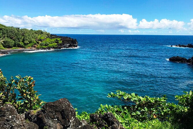Road to Hana Private Jungle Tour - From Garden of Eden to Ke‘anae Point, you build the jungle mood