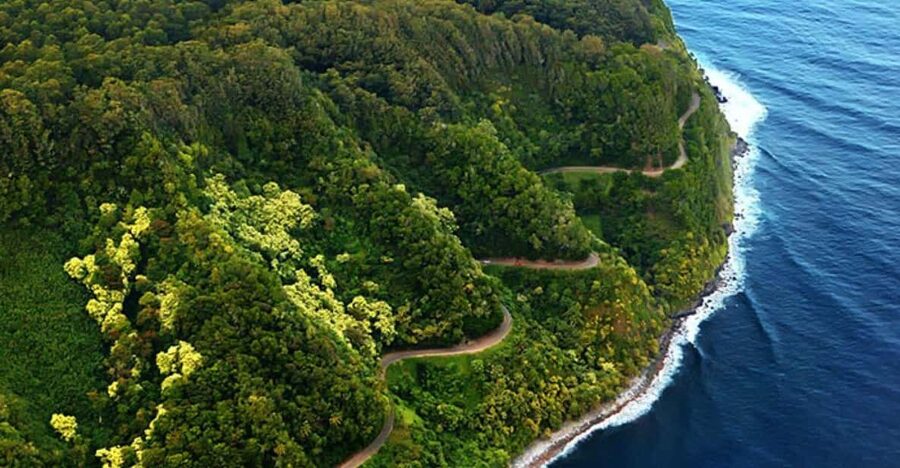 Road to Hana: Professional Guide, Food, Swimming, Waterfalls - Custom 12-Passenger Cruiser Comfort for a Long Day