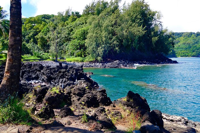 Road to Hana Rainforest, Black Sand Beach, Waterfalls & Lunch - Price and Value: Is $245.99 a Good Deal for Road to Hana?