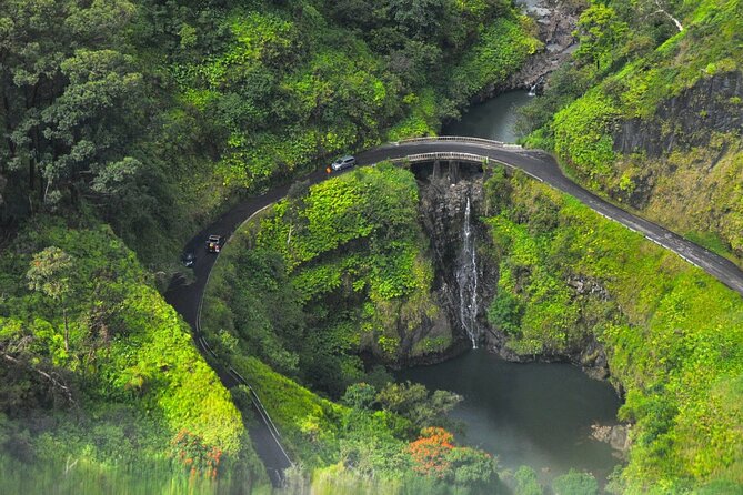 Road to Hana Rainforest, Black Sand Beach, Waterfalls & Lunch - Who Should Book This Tour, and Who Should Skip It