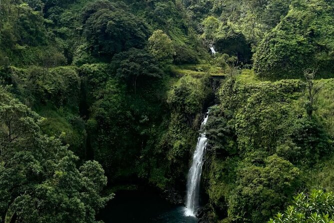 Road to Hana Small-Group, Waterfalls, Black Sand Beach & Pickup - Hana Highway Driving: 59 Bridges, 640 Turns, and Old-School Engineering
