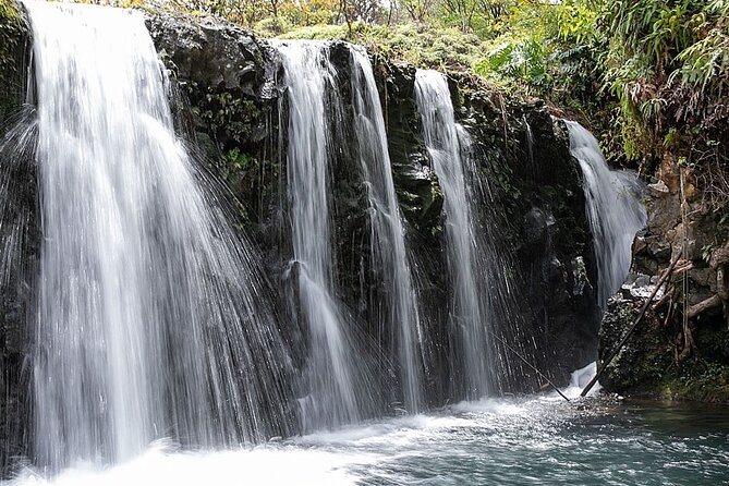 Road to Hana Small-Group, Waterfalls, Black Sand Beach & Pickup - Aunty Sandy’s Banana Bread: The Warm, Familiar Reward Stop