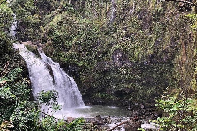 Road to Hana Tour - Best of Maui - Paia to Hana at 7:30 am: the day starts early for a reason