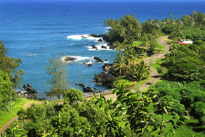 Road to Hana Tour with Lunch and Pickup - Maui Tropical Plantation breakfast stop, more than just a snack break