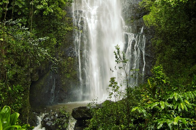 Road to Hana Tour with Lunch and Pickup - Drive past the bay, and why that in-between time is still part of Hana