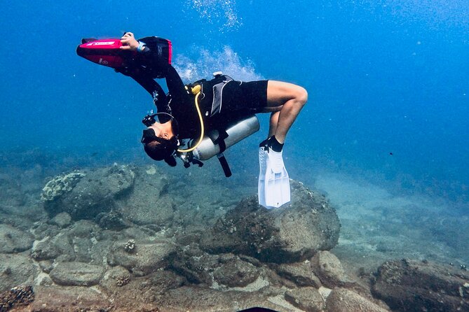 Scuba Diving in Maui with No Experience Needed - Key Highlights Worth Your Attention