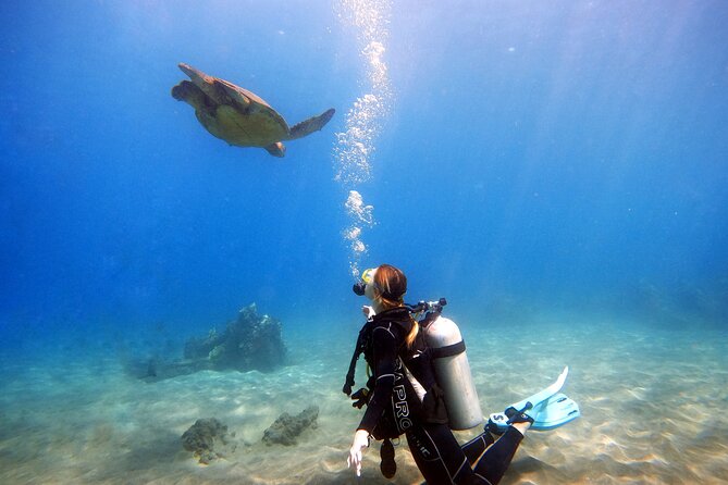 Scuba Diving in Maui with No Experience Needed - Maui’s Shore-Based Scuba Session: Built for First-Timers