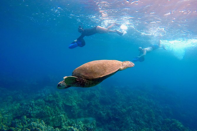 Sea Scooter Snorkeling Tour with GoPro - Wailea Beach - Wailea Meets Makena Bay, The Reef You Go For